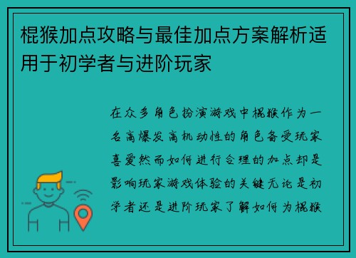 棍猴加点攻略与最佳加点方案解析适用于初学者与进阶玩家